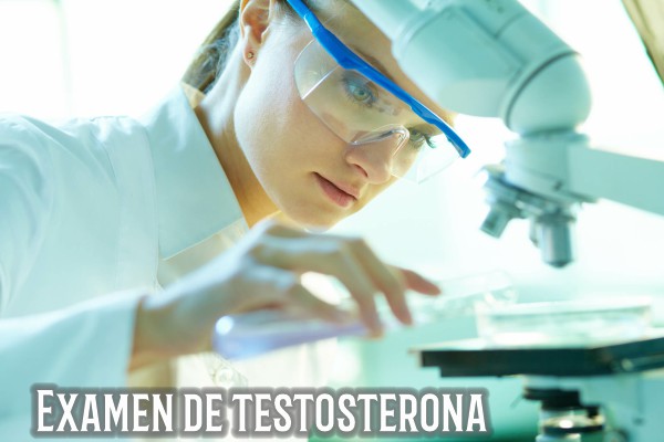 Examen de testosterona