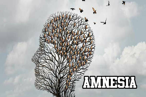 Amnesia: Desentrañando las Memorias Perdidas